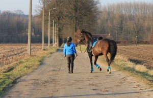 paard rijden op de openbare weg