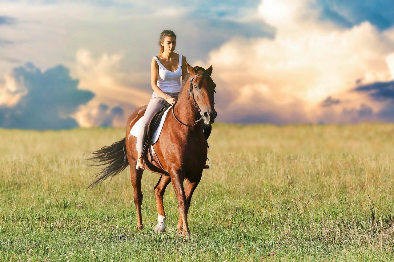 kosten van een eigen paard