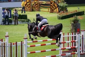 Paardenliefhebbers kijken uit naar Flanders Horse Expo 2019