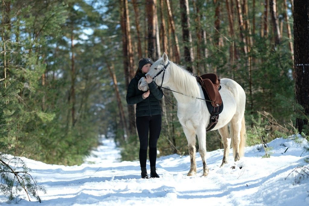 Paardrijden in de winter
