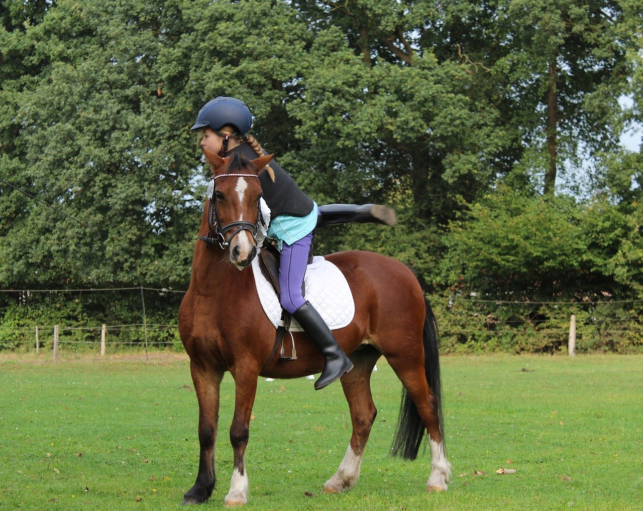 paardrijden is leuk, hoe begin je eraan Paard.net