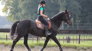 paard rijden