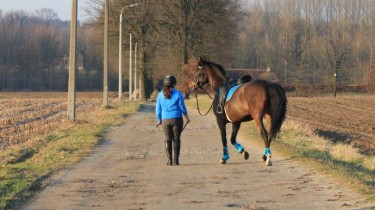paard rijden op de openbare weg