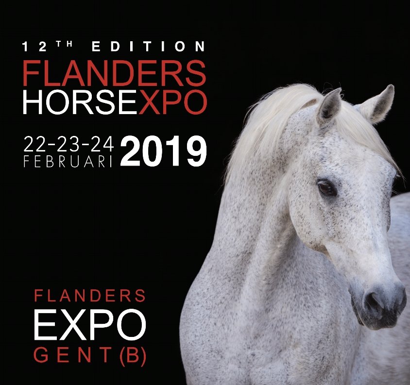 Flanders Horse Expo 2019