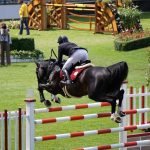 Paardenliefhebbers kijken uit naar Flanders Horse Expo 2019