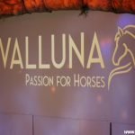 Paardenspektakel Cavalluna in premiere